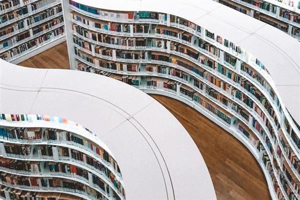 Pubblicazioni e linee guida