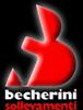 Becherini sollevamenti s.r.l.