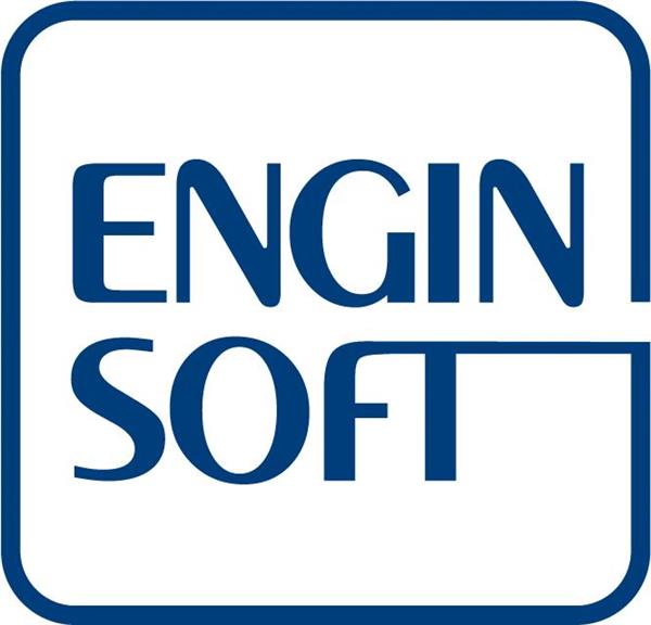 Enginsoft s.p.a.