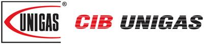 C.i.b. unigas s.p.a.