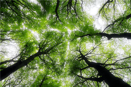ASSOCLIMA si rivolge alle Istituzioni per un nuovo Regolamento F-gas ambizioso ma che sostenga la diffusione delle tecnologie più efficienti