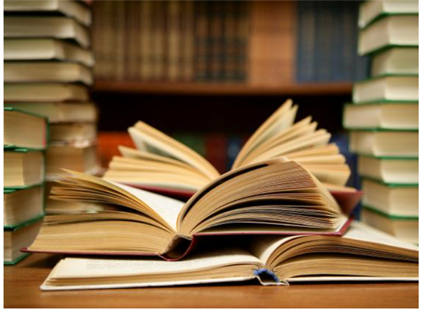 Libri bianchi e brochure