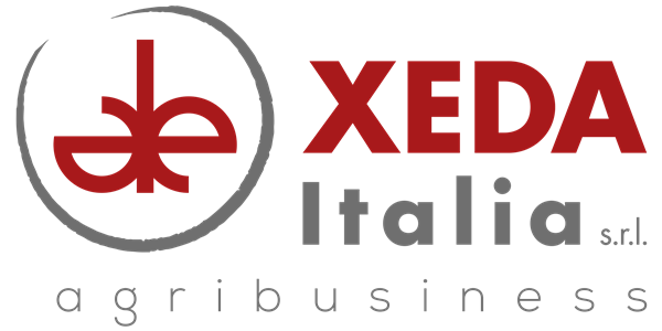 Xeda Italia srl