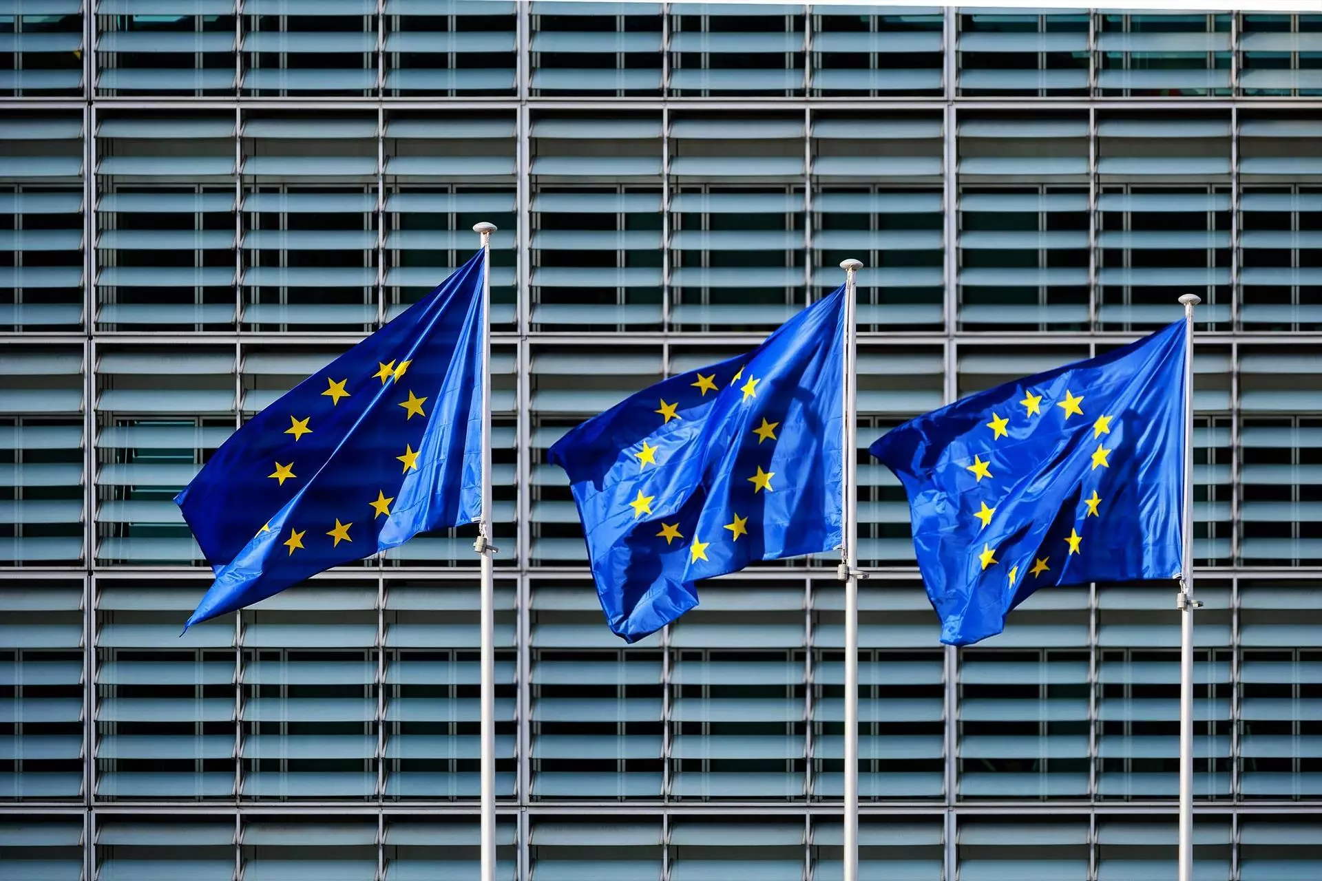Anima Bruxelles