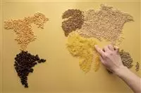 Food technologies, Anima: export a 2,72 miliardi nel primo semestre 2026, in lieve calo