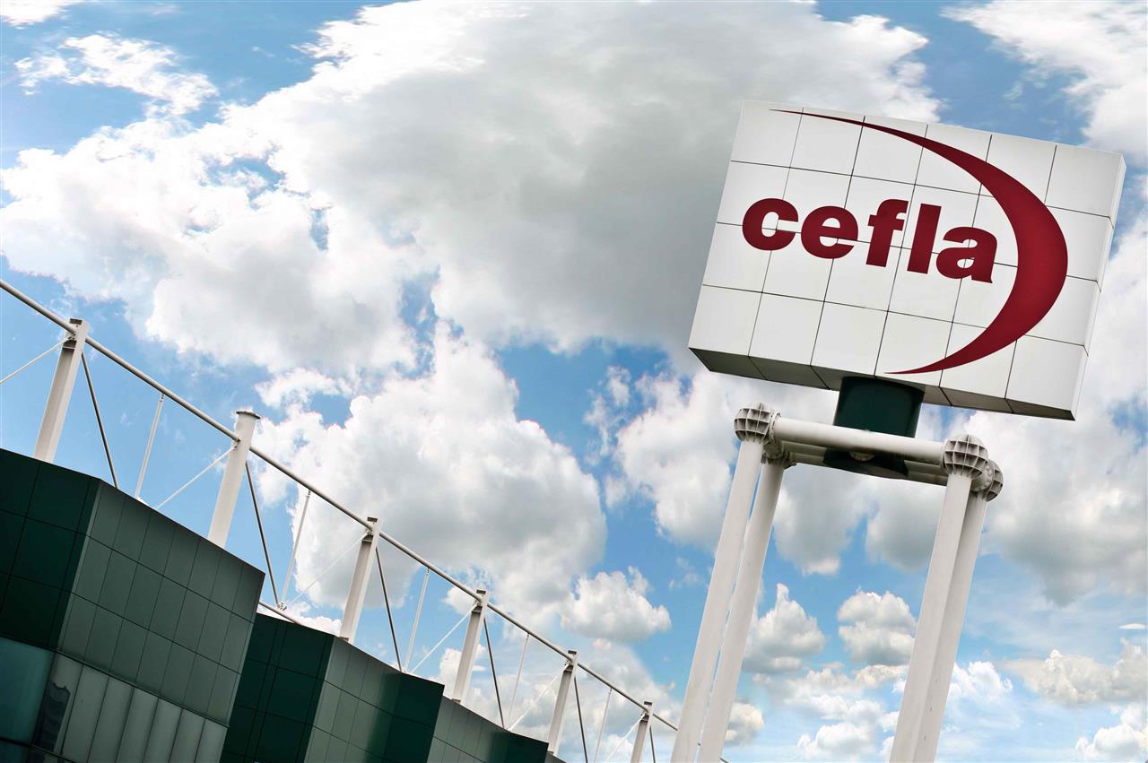 Cefla s.c.