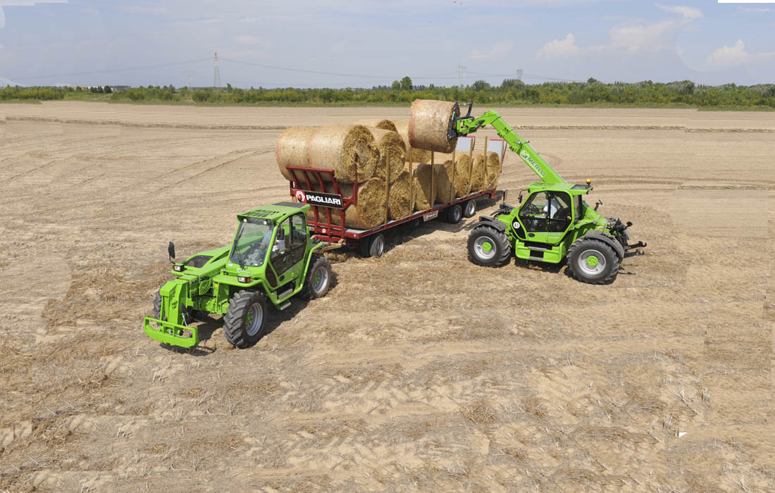 Merlo s.p.a. industria  metalmeccanica con unico socio